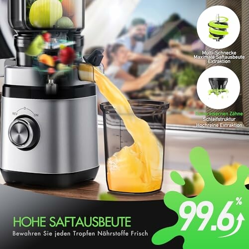 Extracteur de Jus OYLCDI